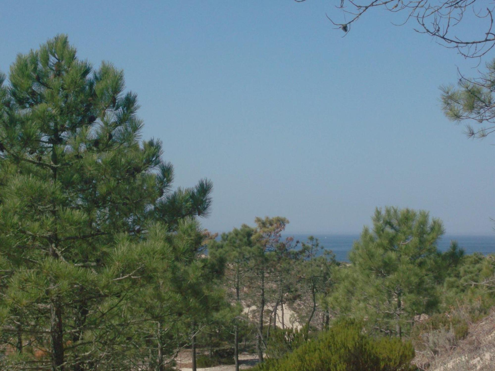 Alojamento Local Verde E Mar Comporta Εξωτερικό φωτογραφία