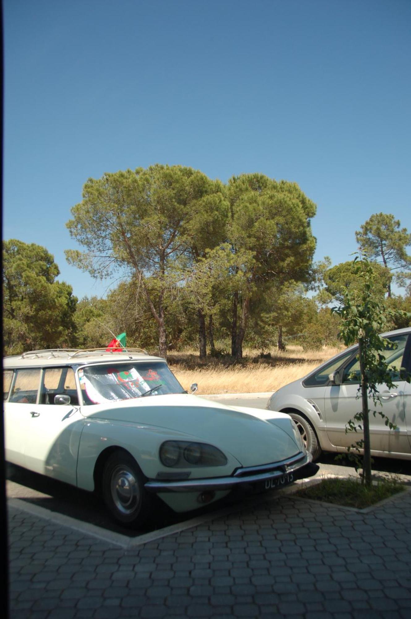 Alojamento Local Verde E Mar Comporta Εξωτερικό φωτογραφία